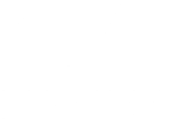 David Mckay Publications Logo